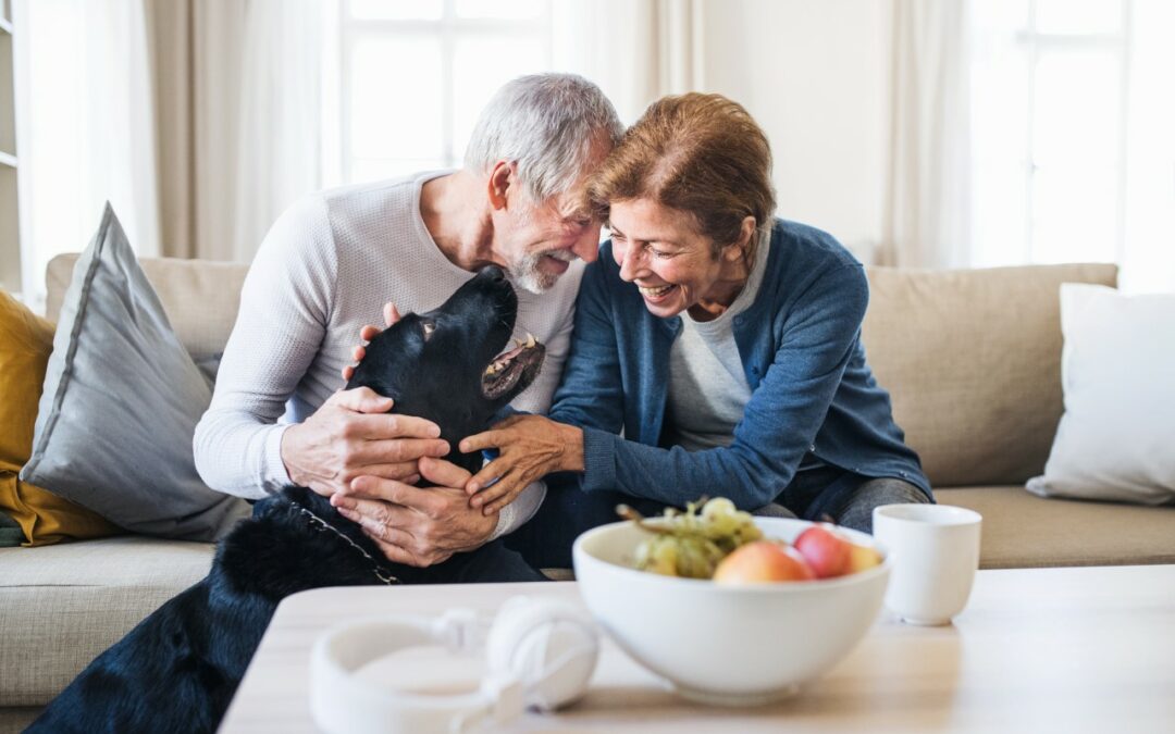 happy senior couple sitting on a sofa indoors with a pet dog at home